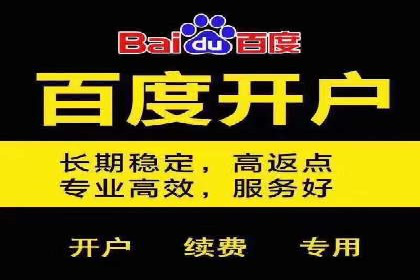 百度竞价价格策略，案例启示录